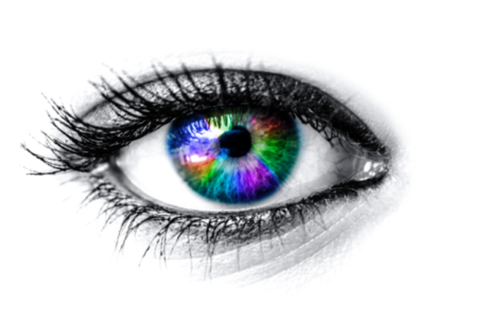 截屏2024-12-16 12.22.42.png