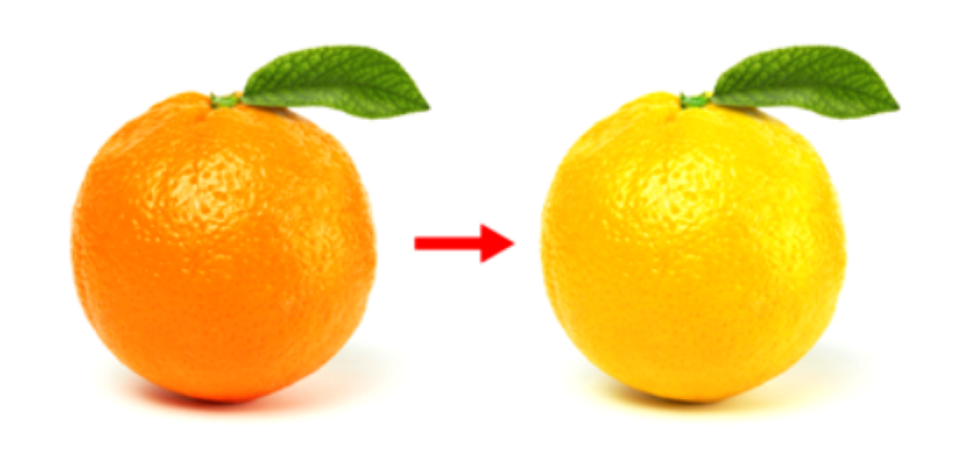 截屏2024-12-16 12.23.38.png